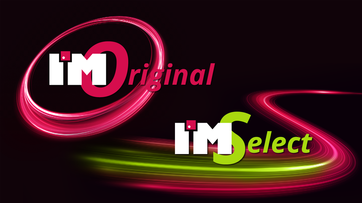 Intelligent Memory's IMOriginal and IMSelect DRAM Modules