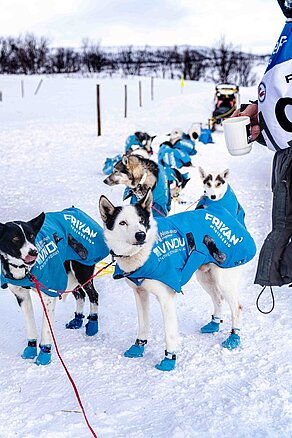 Supporting an athlete on his path to complete Iditarod.  Intelligent Memory (IM) sponsors Ignacio "Nacho" Pellejero on his ambitious path to complete one of the most challenging races in the world: The Road to Iditarod race in 2028. After all, the core values that fuel success in this race are the ones we live by daily in business: Focus, Resilience, and Appreciation.