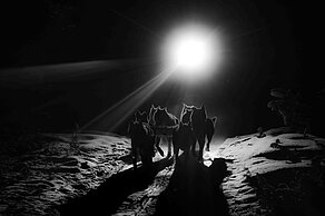 Supporting an athlete on his path to complete Iditarod.  Intelligent Memory (IM) sponsors Ignacio "Nacho" Pellejero on his ambitious path to complete one of the most challenging races in the world: The Road to Iditarod race in 2028. After all, the core values that fuel success in this race are the ones we live by daily in business: Focus, Resilience, and Appreciation.